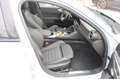 Alfa Romeo Giulia Competizione Q4 Panorama Assistenzpaket Grau - thumbnail 11