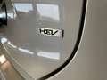 Kia Niro 1.6 GDi HEV 95kW (129CV) Drive Blanco - thumbnail 22