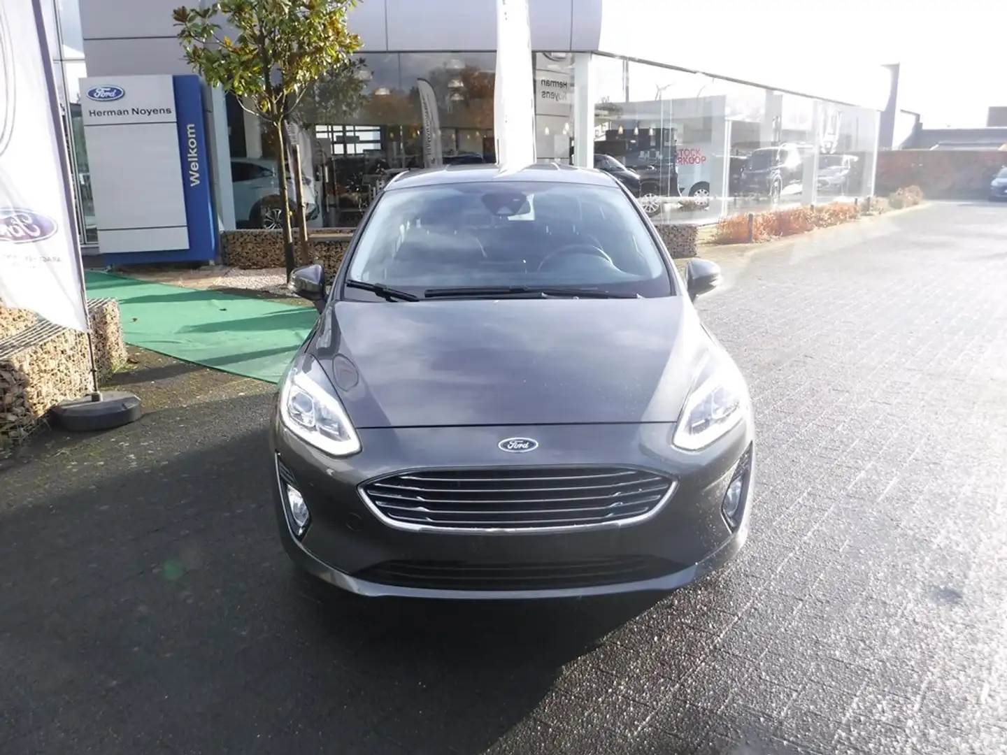 Ford Fiesta Grijs - 2