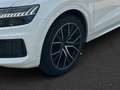 Audi Q8 50 TDI quattro tiptronic S-Line Pano Kamera Leder - thumbnail 9
