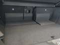 Suzuki e Vitara Allgrip flash Grün - thumbnail 16
