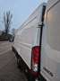 Iveco Daily 35s14 Weiß - thumbnail 9