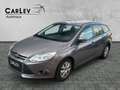Ford Focus Start/Stop PDC Zahnriemen neu Braun - thumbnail 3