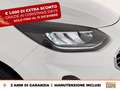 Ford Fiesta 5p 1.0 ecoboost h titanium 125cv Bianco - thumbnail 13