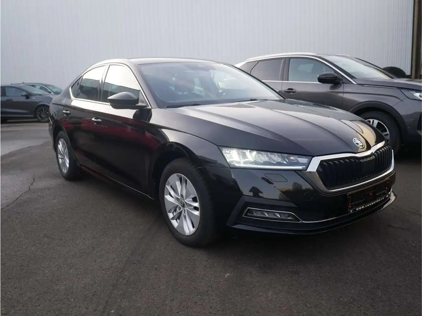 Skoda Octavia 2.0TDI Ambition M6 115CV Noir - 2