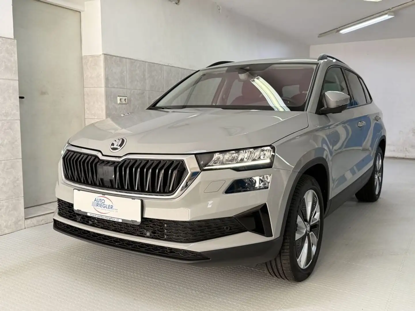 Skoda Karoq Ambition 4x4 ''LED-Navi-Virtual-Kamera-AHK'' Grau - 1