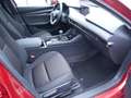 Mazda 3 2.5L e-SKYACTIV-G 140 SHZ BOSE HUD LED 360° Rood - thumbnail 2