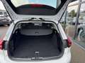 Ford Focus Turnier 1.5TDCI Titanium X AUTOMATIK*LED* Blanc - thumbnail 24