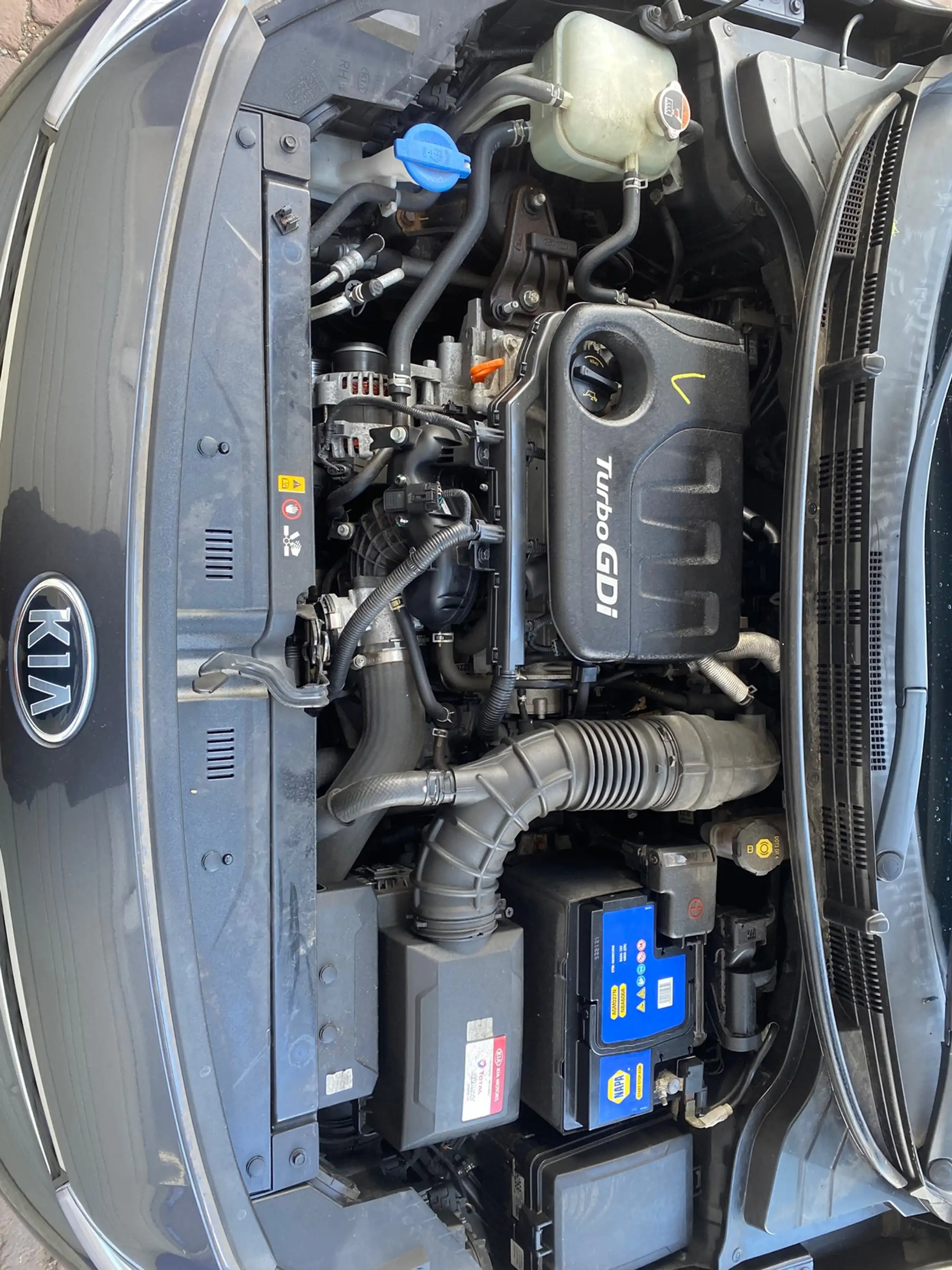 Kia Rio 1.0 TGDI Design Edition — photo 6