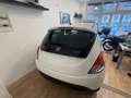 Lancia Ypsilon Ypsilon 1.0 firefly hybrid Gold s Bianco - thumbnail 4