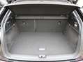 Audi Q2 35 TFSI Edition one / Comfort plus pakket / Carpla Zwart - thumbnail 13