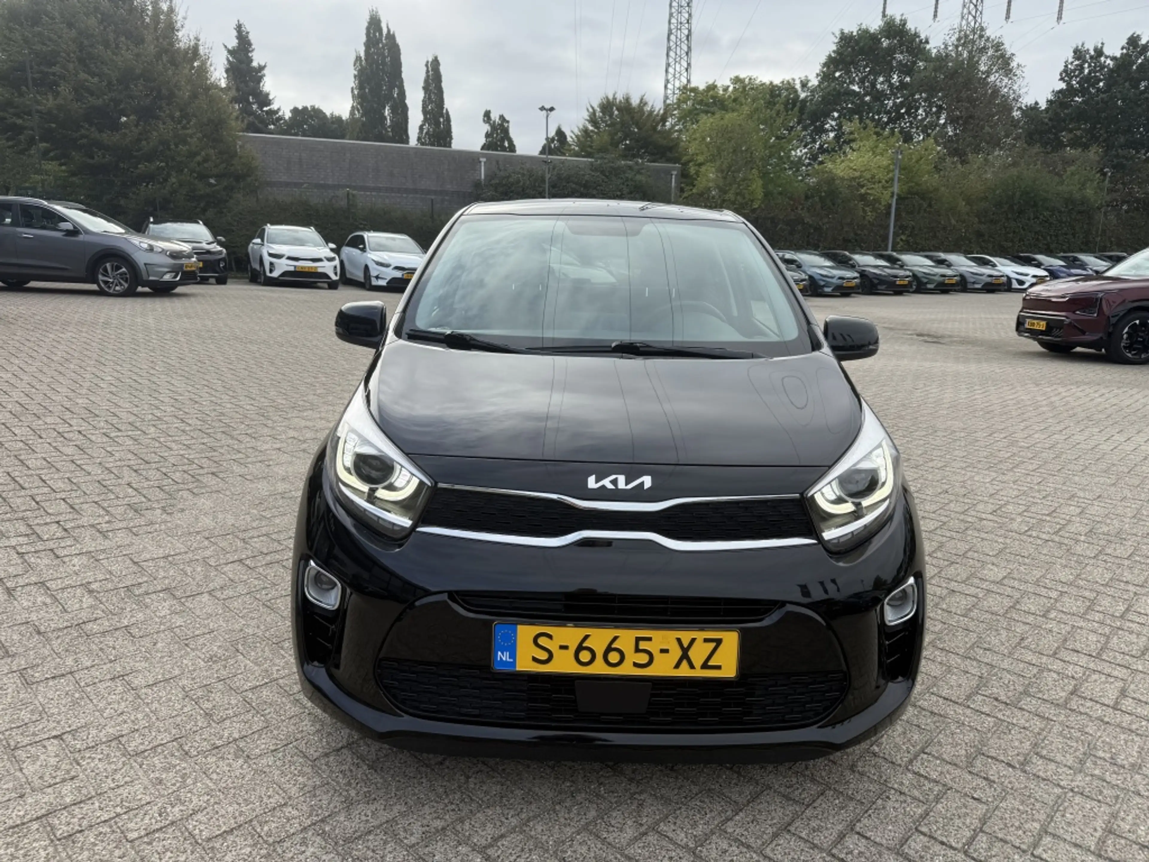 Kia Picanto 1.0 DPi DynamicPlusLine NAVI - CAMERA ZEER - COMPL — photo 9
