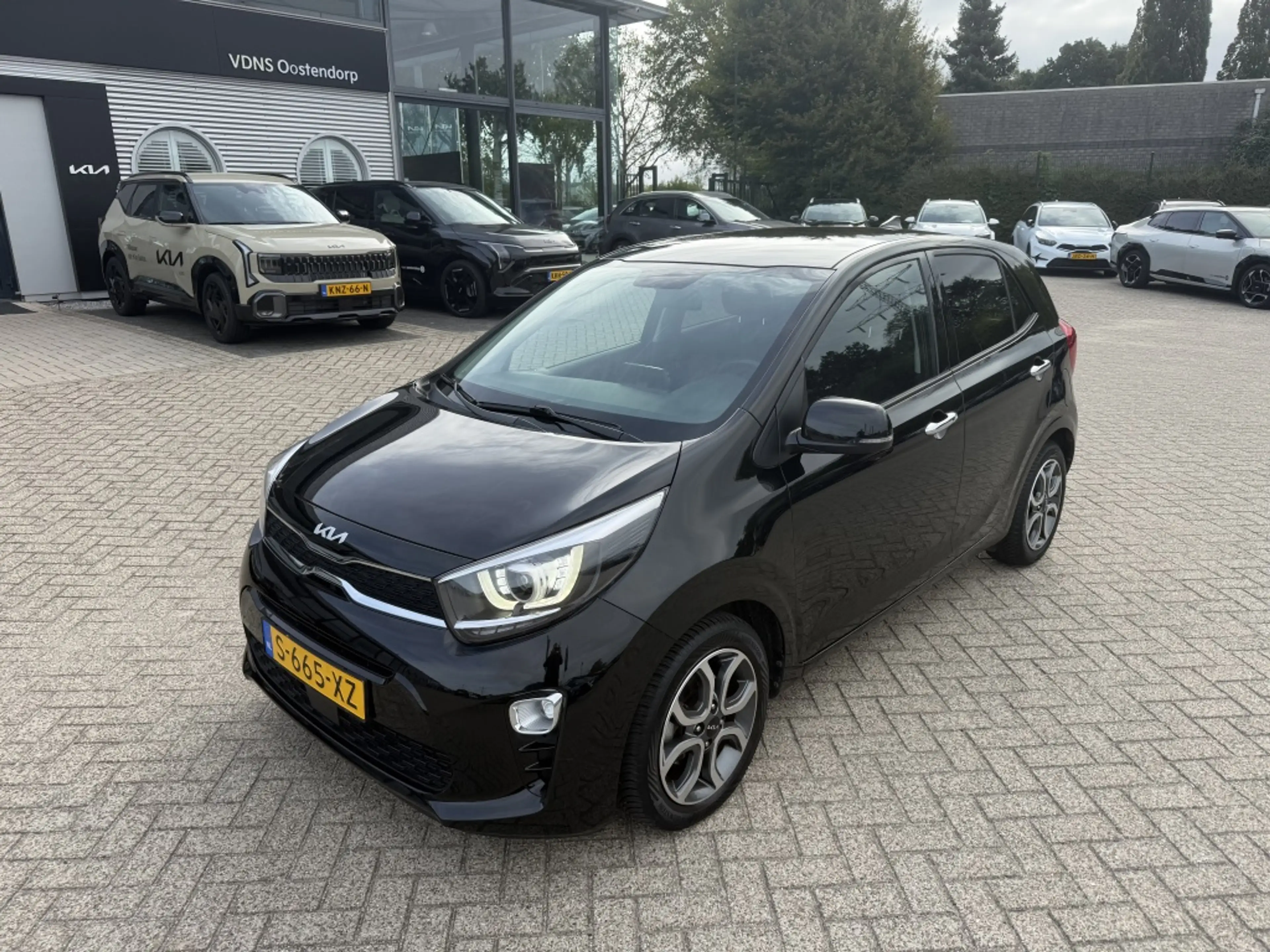 Kia Picanto 1.0 DPi DynamicPlusLine NAVI - CAMERA ZEER - COMPL — photo 2