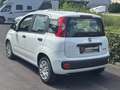 Fiat Panda 4x2 FireFly Hybrid 70 Blanc - thumbnail 4