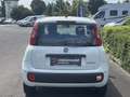 Fiat Panda 4x2 FireFly Hybrid 70 Weiß - thumbnail 5