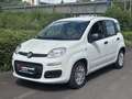 Fiat Panda 4x2 FireFly Hybrid 70 Blanc - thumbnail 1