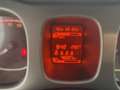 Fiat Panda Panda III 2021 Cross Panda 1.0 firefly hybrid Cro Grau - thumbnail 12