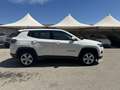 Jeep Compass Compass 2.0 mjt Business 4wd 140cv my19 Bianco - thumbnail 4