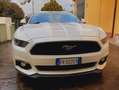 Ford Mustang Mustang ecoboost  2.3 317cv del 2017 Bianco - thumbnail 9