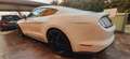 Ford Mustang Mustang ecoboost  2.3 317cv del 2017 Bianco - thumbnail 11