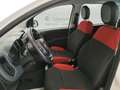 Fiat Panda 1.2 Pop s Bianco - thumbnail 8