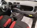Fiat Panda 1.2 Pop s Bianco - thumbnail 11