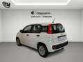 Fiat Panda 1.2 Pop s Bianco - thumbnail 4