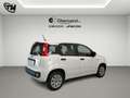 Fiat Panda 1.2 Pop s Bianco - thumbnail 6