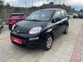 Fiat Panda Panda 1.2 Pop 69cv Schwarz - thumbnail 2