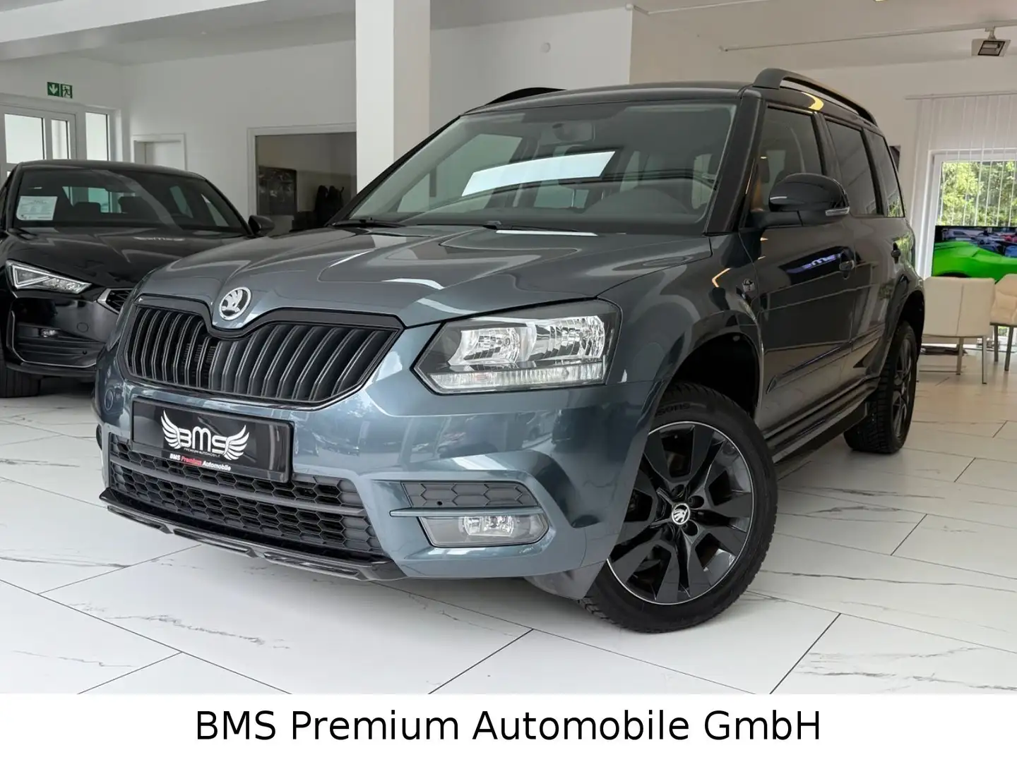 Skoda Yeti Ambition 4x4 Garantie bis 09.2026 Grau - 1