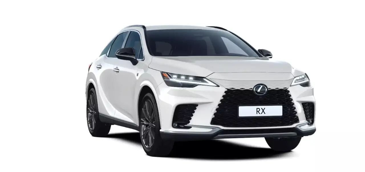 Lexus RX 350 h E-Four F-Sport Design LED, Navi, Kamera 7