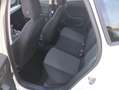 SEAT Arona Arona 1.0 ecotsi Reference 95cv Bianco - thumbnail 8