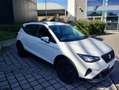 SEAT Arona Arona 1.0 ecotsi Reference 95cv Bianco - thumbnail 4