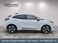 Ford Puma E-Gen 43kWh Weiß - thumbnail 5