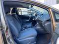 Ford Fiesta Fiesta 1.4 tdci Titanium 5p Bronzo - thumbnail 13