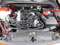 Ford Focus EcoBoost Hybrid Titanium Červená - thumbnail 19