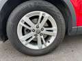 Audi Q3 Q3 35 2.0 tdi Business s-tronic Rosso - thumbnail 14