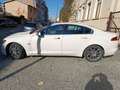 Jaguar XF Portfolio 3.0 D S Bianco - thumbnail 8