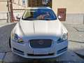 Jaguar XF Portfolio 3.0 D S Bianco - thumbnail 3