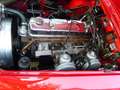 Autres MK II 3000 BJ7 Rouge - thumbnail 14