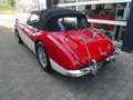 Autres MK II 3000 BJ7 Rouge - thumbnail 4