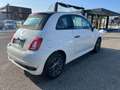 Fiat 500C 1,2 Fire 70 Sport Carplay PDC Weiß - thumbnail 4