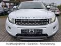 Land Rover Range Rover Evoque Automatik, Leder, Pano, Navi Weiß - thumbnail 20