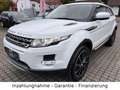 Land Rover Range Rover Evoque Automatik, Leder, Pano, Navi Weiß - thumbnail 1