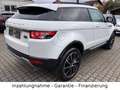 Land Rover Range Rover Evoque Automatik, Leder, Pano, Navi Weiß - thumbnail 3