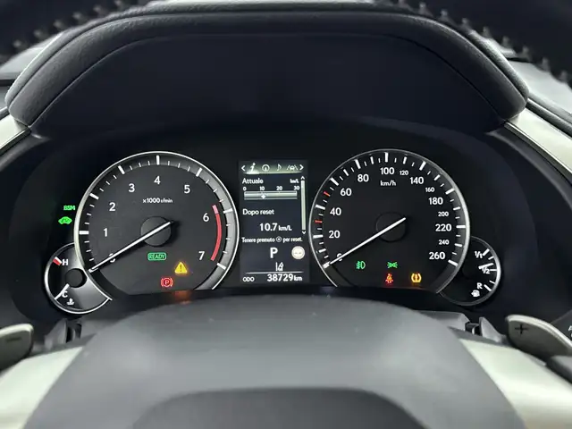 Lexus RX view 6
