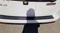 Fiat Doblo 5 POSTI 1.6 MJT 105 CV N1- 2022 NAVIGATORE Bianco - thumbnail 6