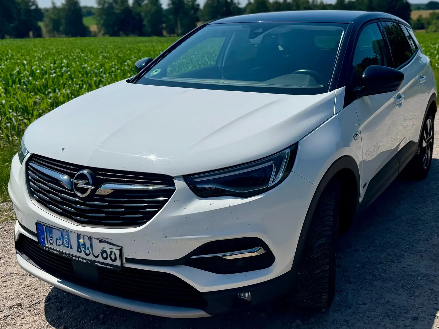 Opel Grandland X Grandland X Plug-in Hybrid Plug-in-Hybrid 1.6 DI S Weiß - 1