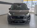 Ford Tourneo Connect Titanium LED ACC PANO KAM AHK Grau - thumbnail 9