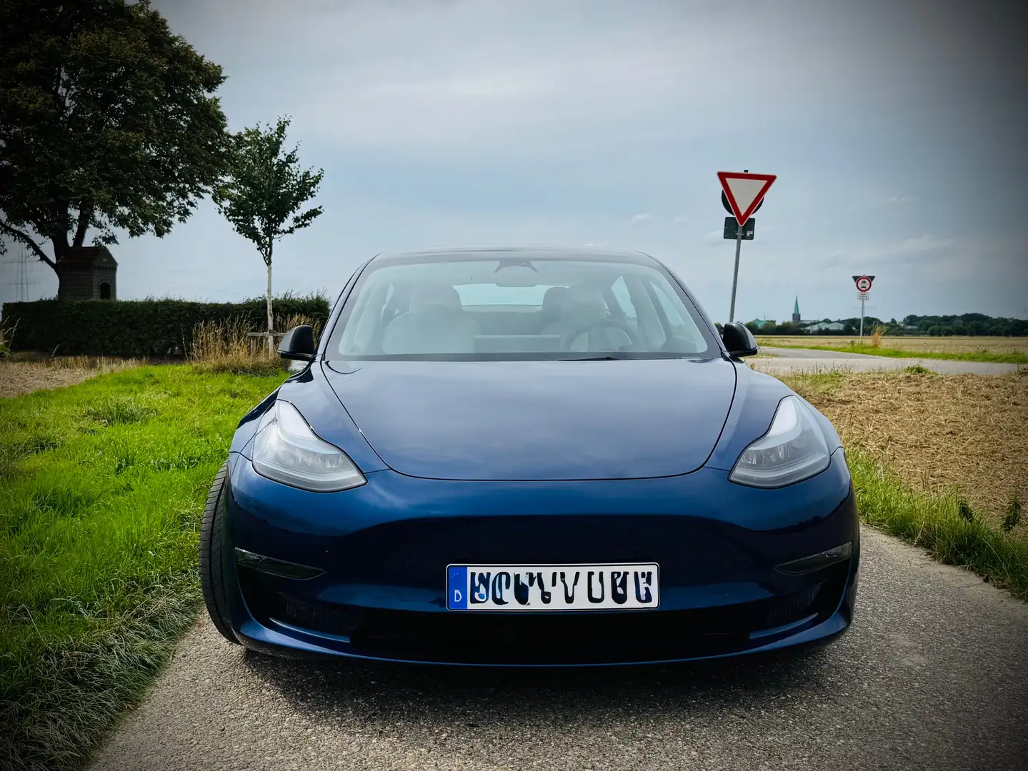 Tesla Model 3 Allradantrieb Dual Motor Performance+ TÜV NEU OZ Blau - 2